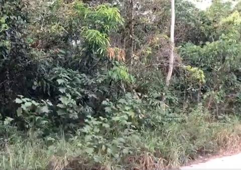 Corpo é encontrado em Manaus e familiares de motorista de app se desesperam  