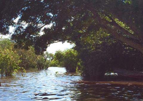 Em Manaus, seminários do Inpa debatem água e impactos da infraestrutura global