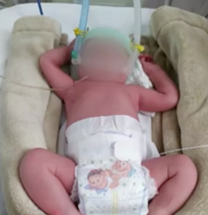 Dentro de caixa de sapato, recém-nascida é abandonada no meio da mata