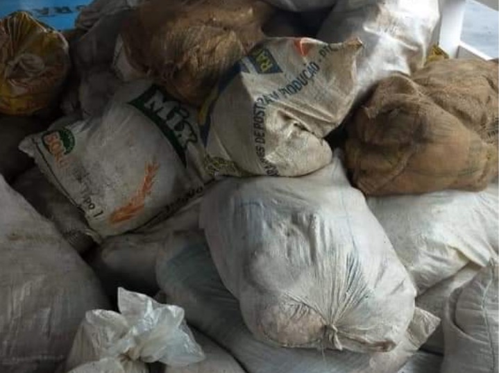 Em Manaus, barco é flagrado com 9 toneladas de Pirarucu e mais de 70 Kg de paca ilegais