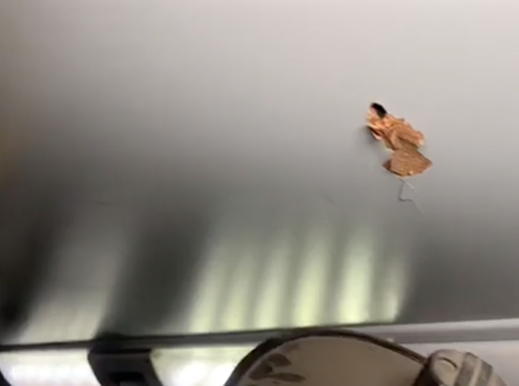 Assaltantes atiram dentro de ônibus durante assalto em Manaus 