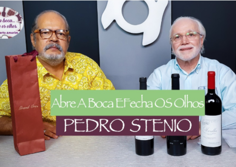 ABRE A BOCA E FECHA OS OLHOS: PEDRO STENIO, SECRETÁRIO VITALÍCIO EDWINE LOVERS MANAUS