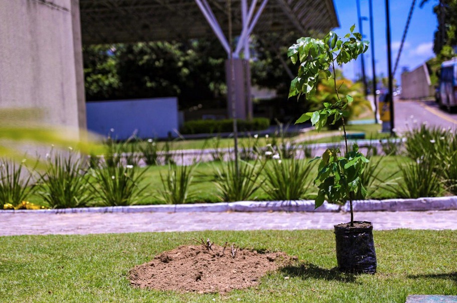 Assembleia Legislativa do Amazonas comemora o Dia da Árvore