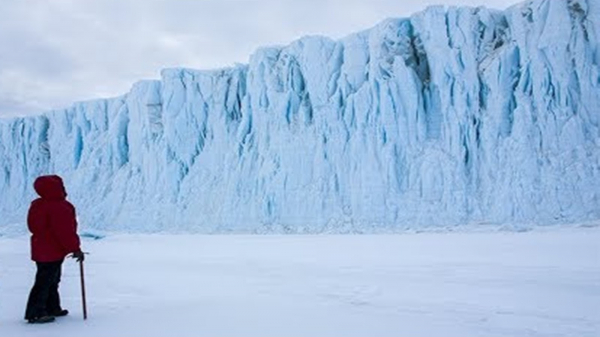 Site busca voluntários para missão na Antártida; Veja como participar 