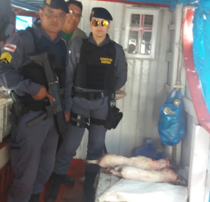 Embarcação que transportava animais silvestres mortos é apreendida no Amazonas