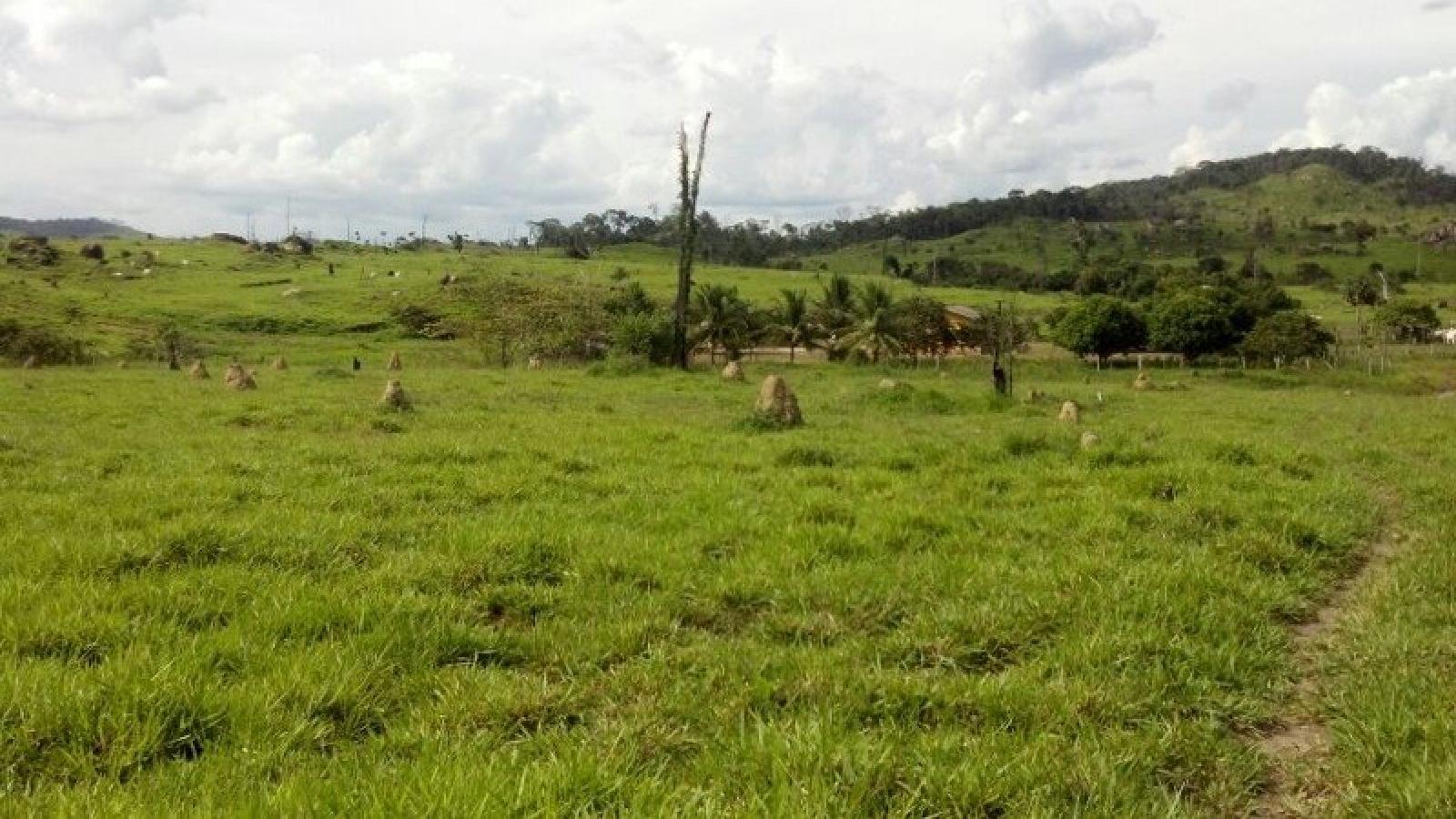 Prazo de entrega de Declaração do ITR acaba nesta segunda (30)
