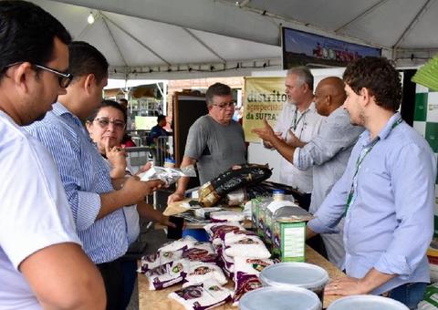 Suframa anuncia concessão de lotes no Distrito Agropecuário a partir de R$ 61/ha