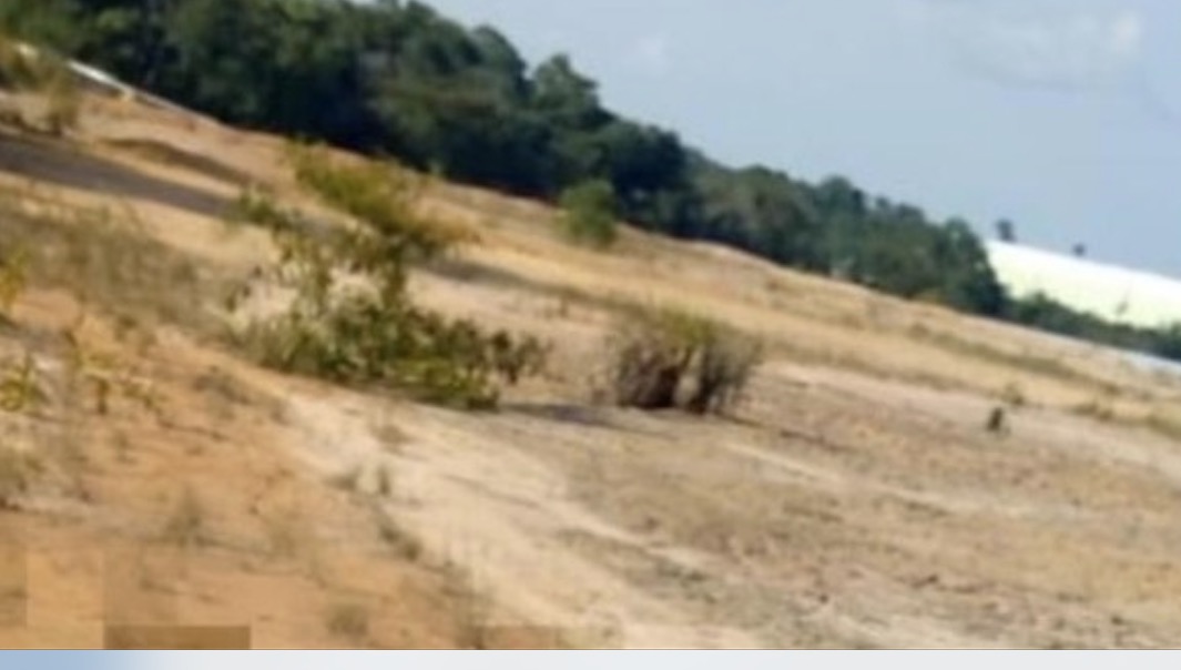   Caso Flávio: nova prova encontrada por testemunhas é entregue a familiares