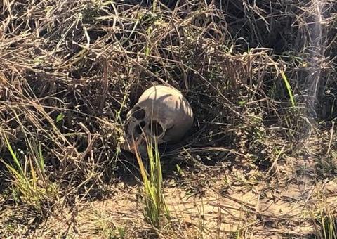 Ossada humana é encontrada próximo a estaleiro em Manaus