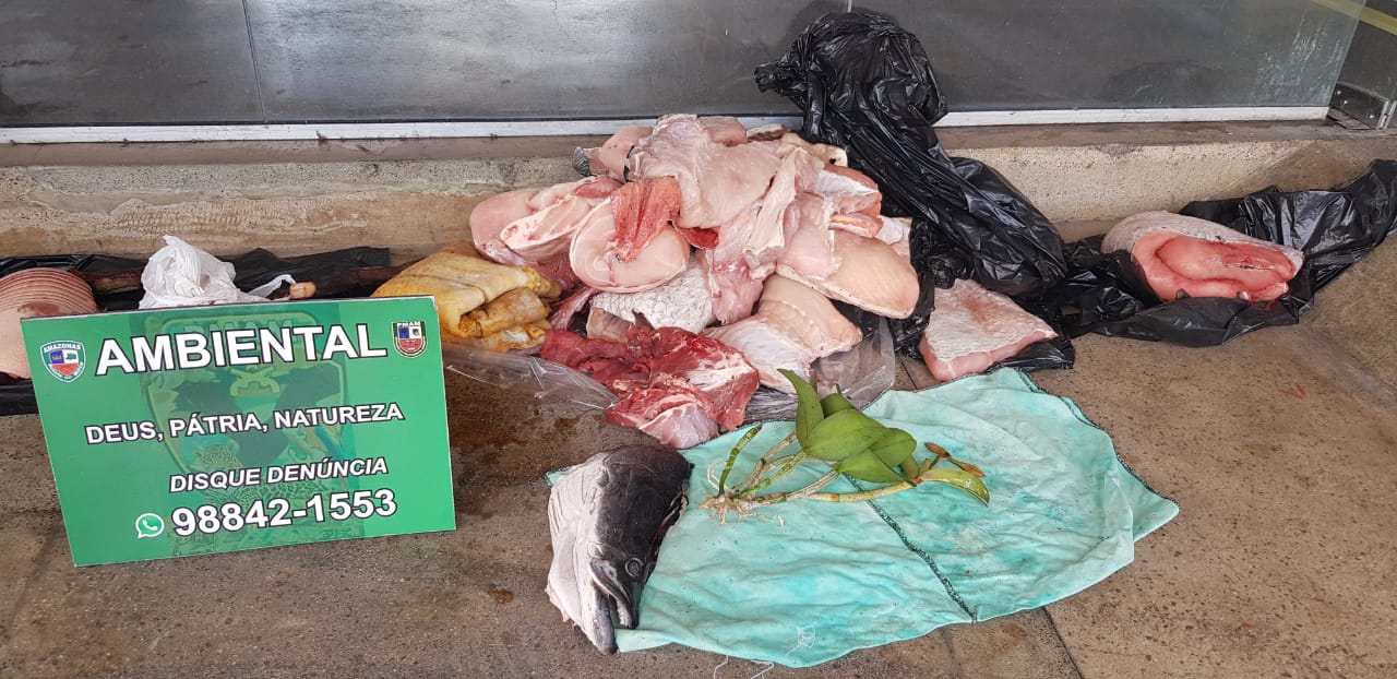 Batalhão Ambiental apreendeu mais de 400kg de carne de caça este ano no Amazonas