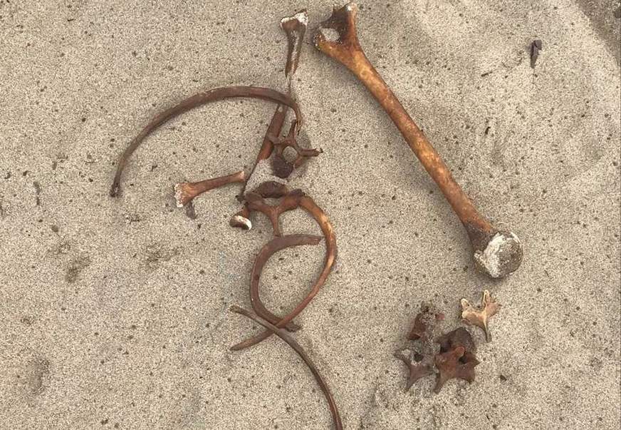 Banhistas encontram partes de ossada humana em praia de Manaus
