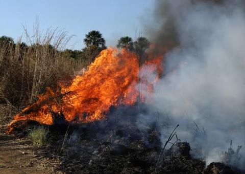 Força Nacional atuará por mais 180 dias no combate ao desmatamento