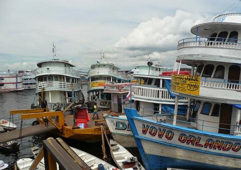 Sebrae Amazonas oferece serviço grátis para produtor rural