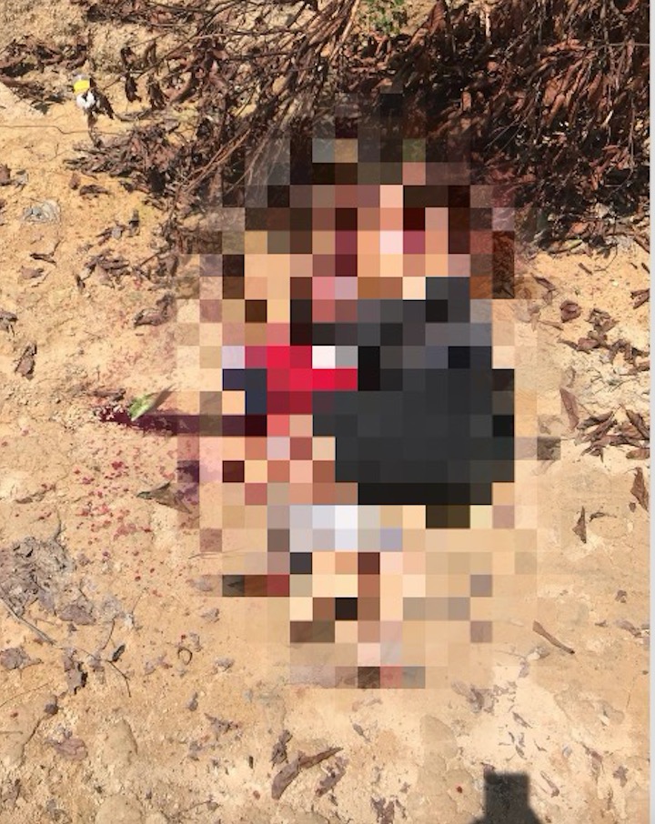 Corpo esquartejado é encontrado em área de mata no ramal do Brasileirinho 