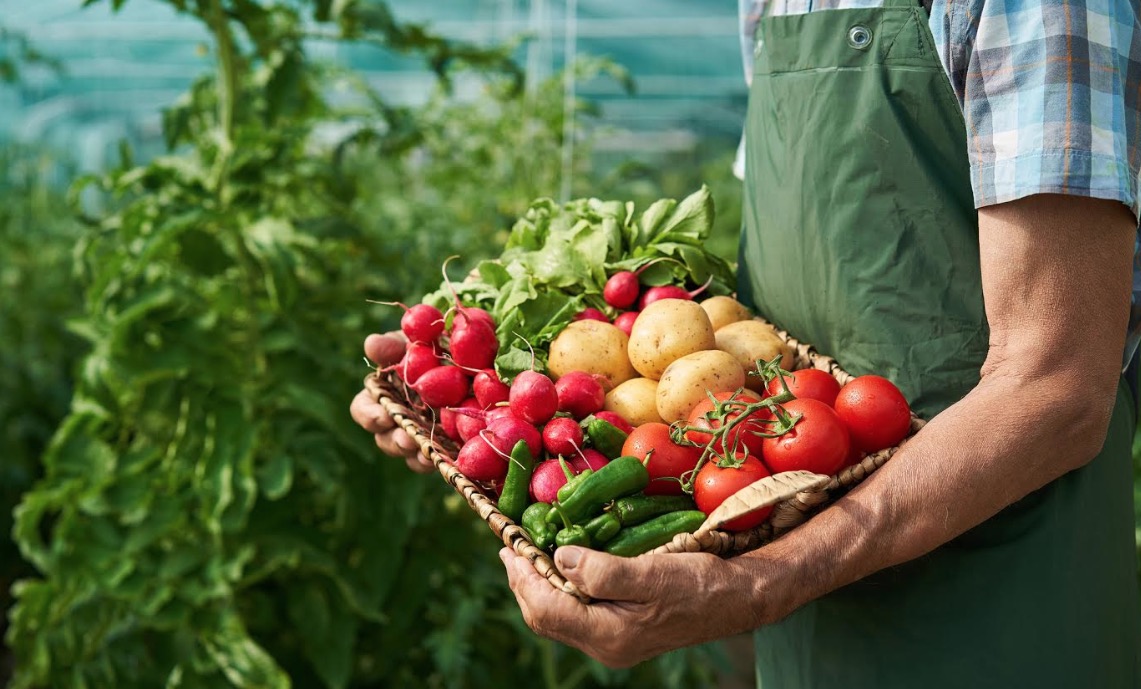 Sesc promove seminário sobre alimentação saudável e sustentável em Manaus