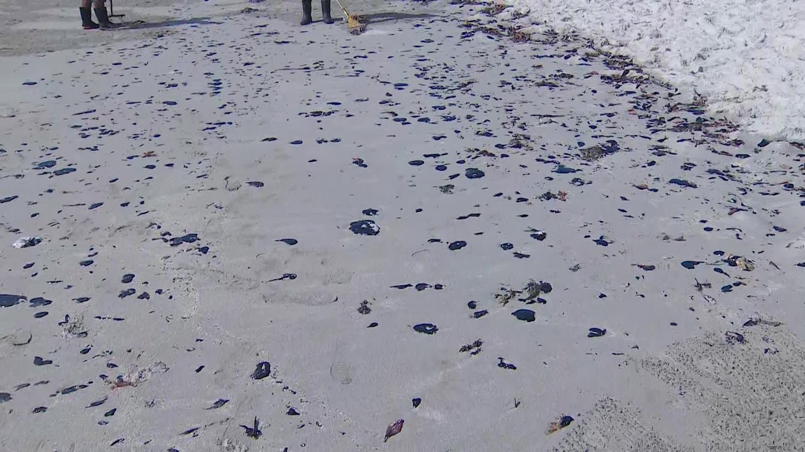 Óleo avança pelo litoral e atinge mais duas praias de Pernambuco