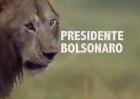 Em vídeo, Bolsonaro se compara a leão atacado por hienas do STF, PSL, PT e ONU