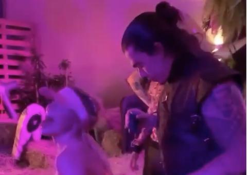 Luisa Sonza rebola freneticamente para Whindersson Nunes em festa