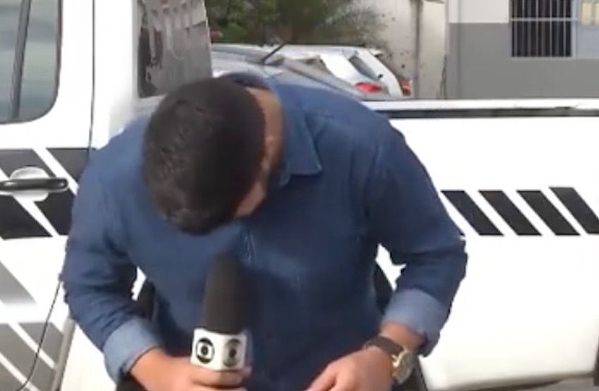 Repórter tem crise de riso ao ser interrompido por gato em gravação