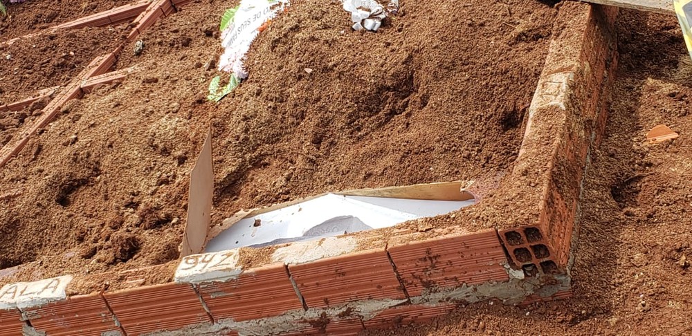 Corpo de mulher é arrancado de cova e encontrado seminu em área de mata