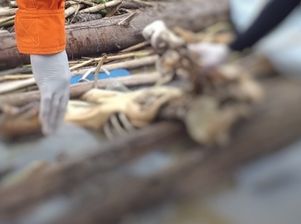 Ossada humana é achada às margens de rio no Amazonas