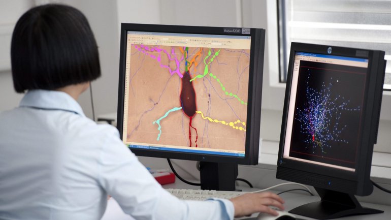 Cientistas descobrem que lítio pode reverter lesões no cérebro causada por radiação