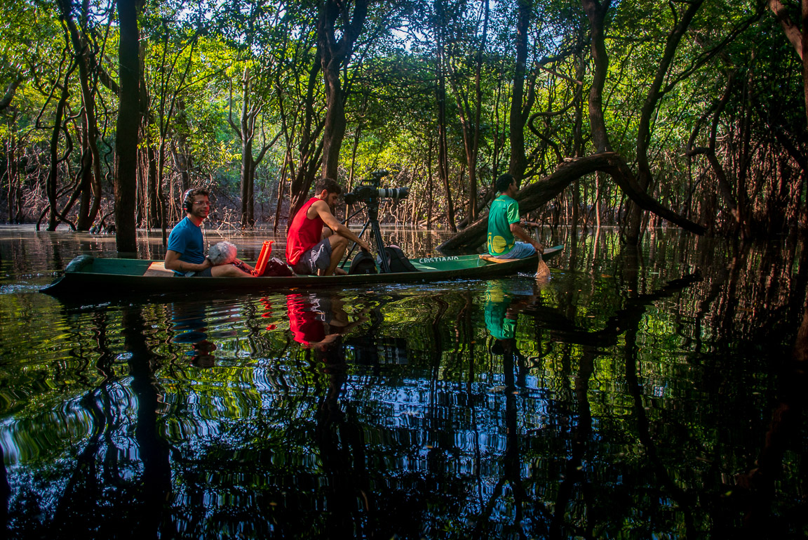 2º maior arquipélago fluvial do mundo, 'Anavilhanas' é retratada em websérie