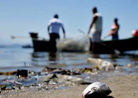 Começa hoje o período de defeso de oito espécies de peixes amazônicos