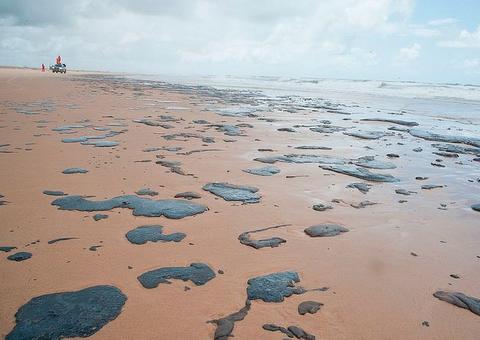 Universidade afirma ter identificado navio que derramou óleo no litoral