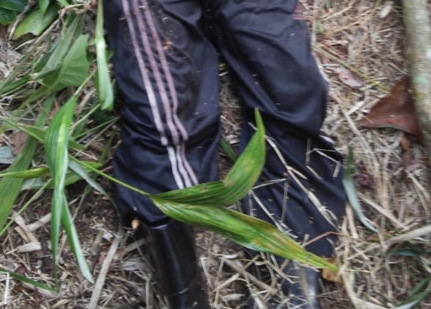 Desaparecido há dois dias, filho de prefeito é encontrado morto em mata no Amazonas