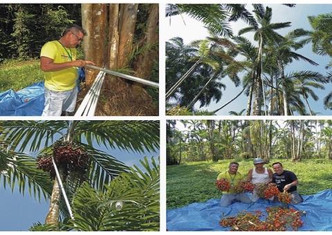 Pesquisadores do Inpa ganham Prêmio Samuel Benchimol e Banco da Amazônia