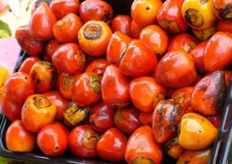 Feira de produtos regionais inaugura na Nilton Lins