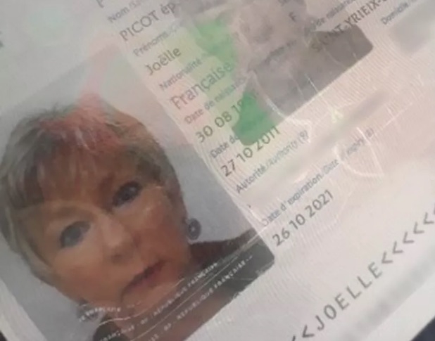 Turista francesa morre após ataque de abelhas no Amazonas