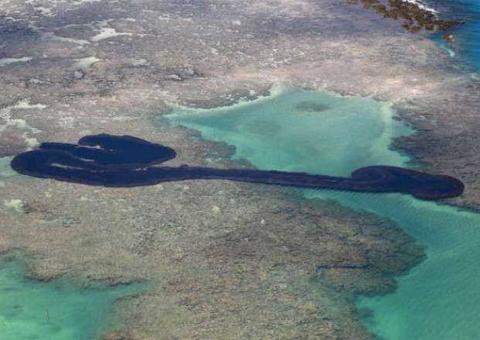 Capes vai liberar R$ 1,3 milhão para pesquisas sobre manchas de óleo