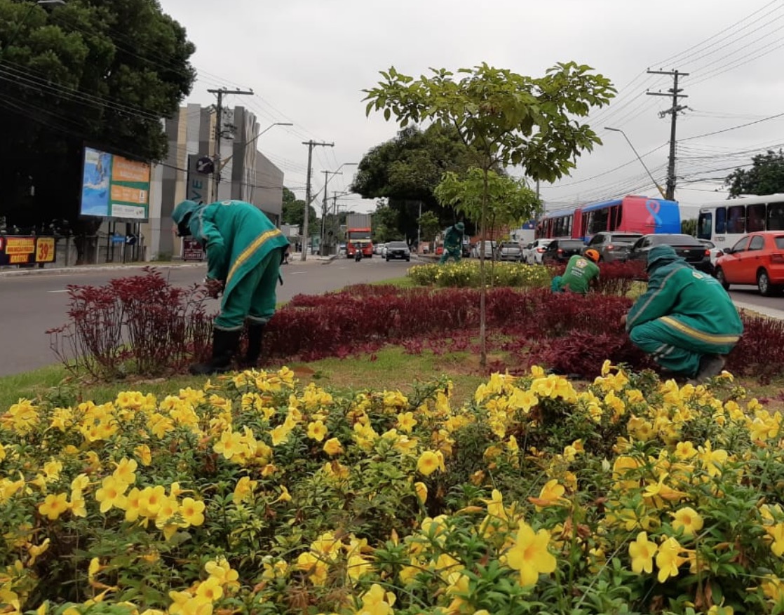 Ações de paisagismo e manutenções em jardins são intensificadas em Manaus 