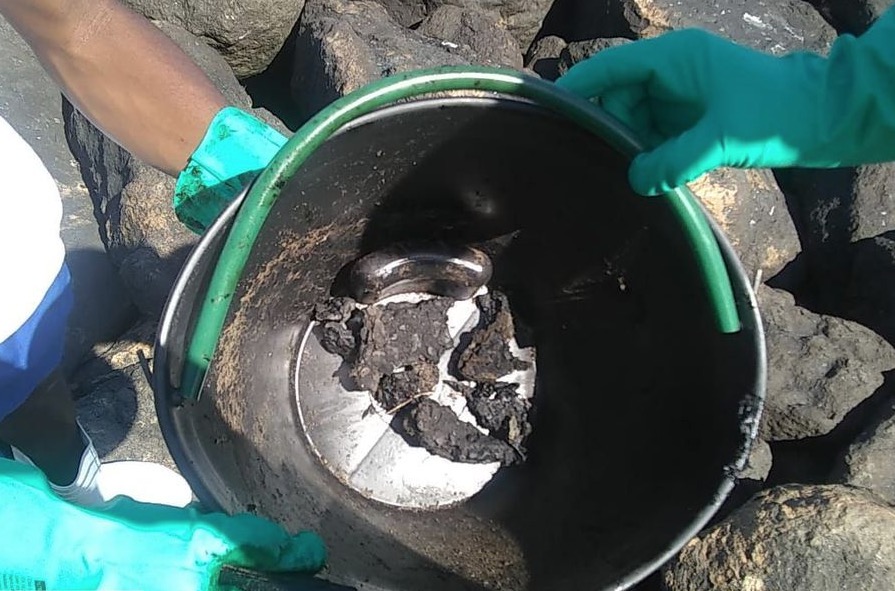 Amostras de peixe apresentam níveis de contaminação por óleo