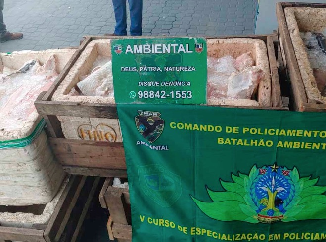 Fiscalização na Feira da Panair, apreende mais de 1 tonelada ilegal de peixes