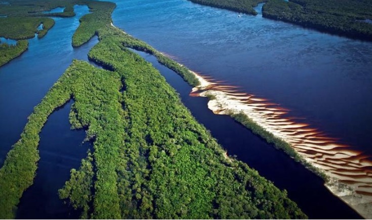Amazonas é autorizado a captar recursos no exterior por manter a floresta conservada