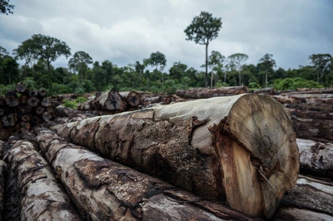 AGU cobra aplicação de R$ 169,7 milhões de multas ambientais no Amazonas