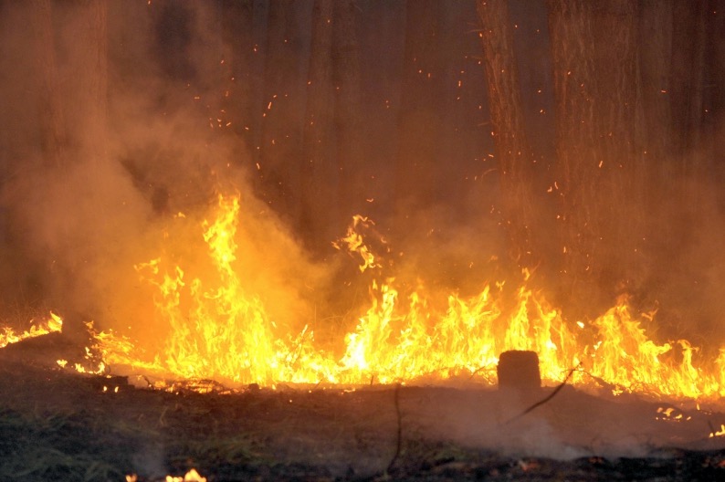 Amazonas tem aumento de 245% no número de queimadas neste início de dezembro 