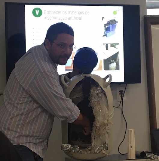 Universidade Nilton Lins oferece curso de Inseminação Artificial em Bovinos