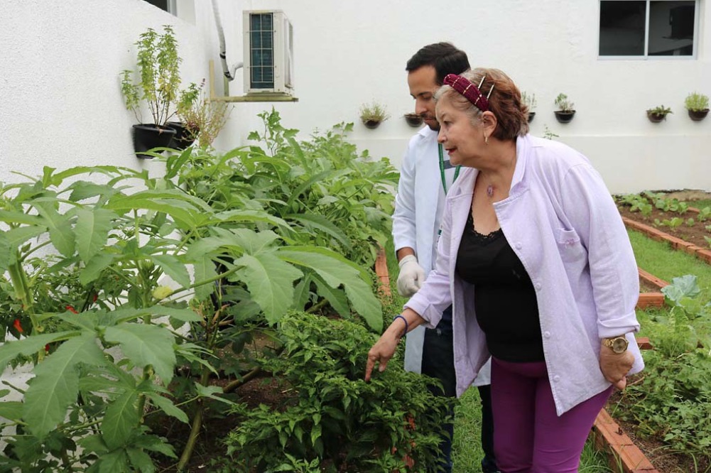 Em Manaus, idosos celebram novos jardins e horta na Fundação Doutor Thomas