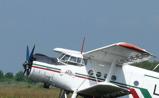Após mãe e filha serem atropeladas por avião, Anac proíbe voos