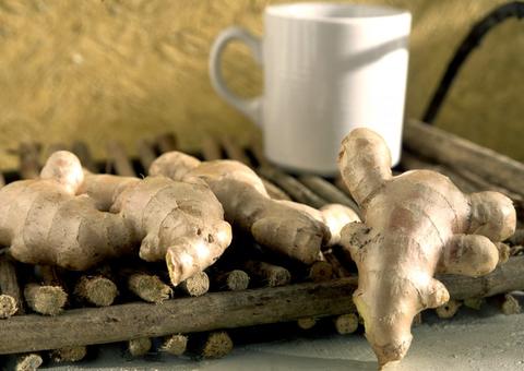 Prevenção de doenças  como câncer pode estar em uma raiz comum no Brasil 