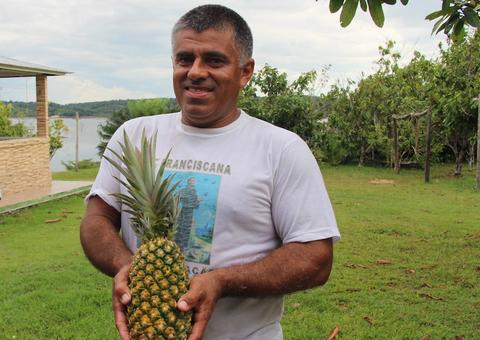 Expedição avalia características de produção de abacaxi e açaí no Amazonas