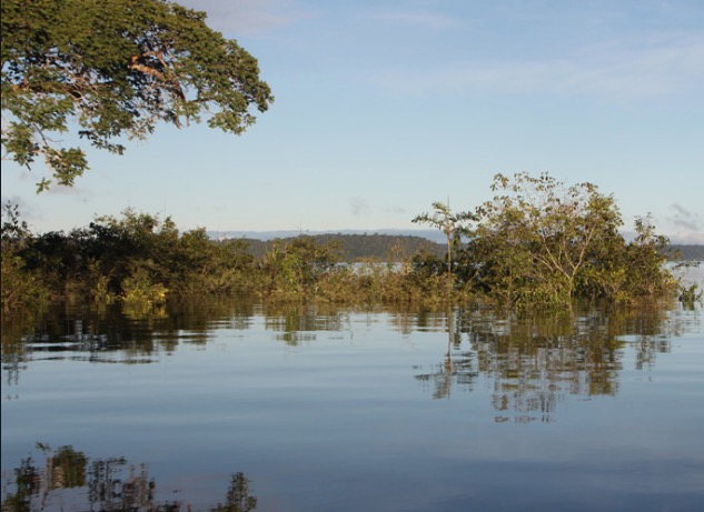 No Amazonas, homem embriagado cai em lagoa e tem rosto devorado por peixes 