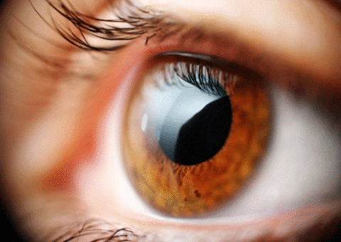 Veja como evitar catarata, glaucoma e retinopatia diabética 