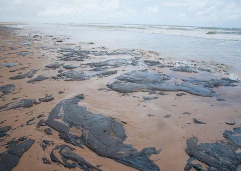 Ibama sabia que navio grego não havia derramado óleo antes de operação da PF