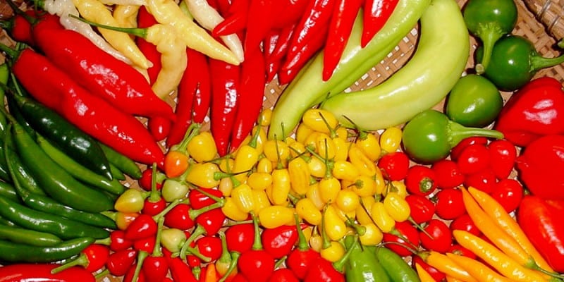 Evite explosão e incêndio: 18 itens para jamais colocar no micro-ondas