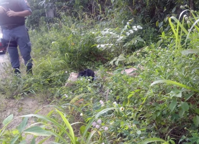 Seminu e com mais de 20 perfurações nas costas, homem é encontrado morto em Manaus